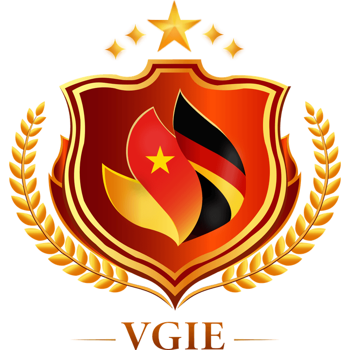 VGIE