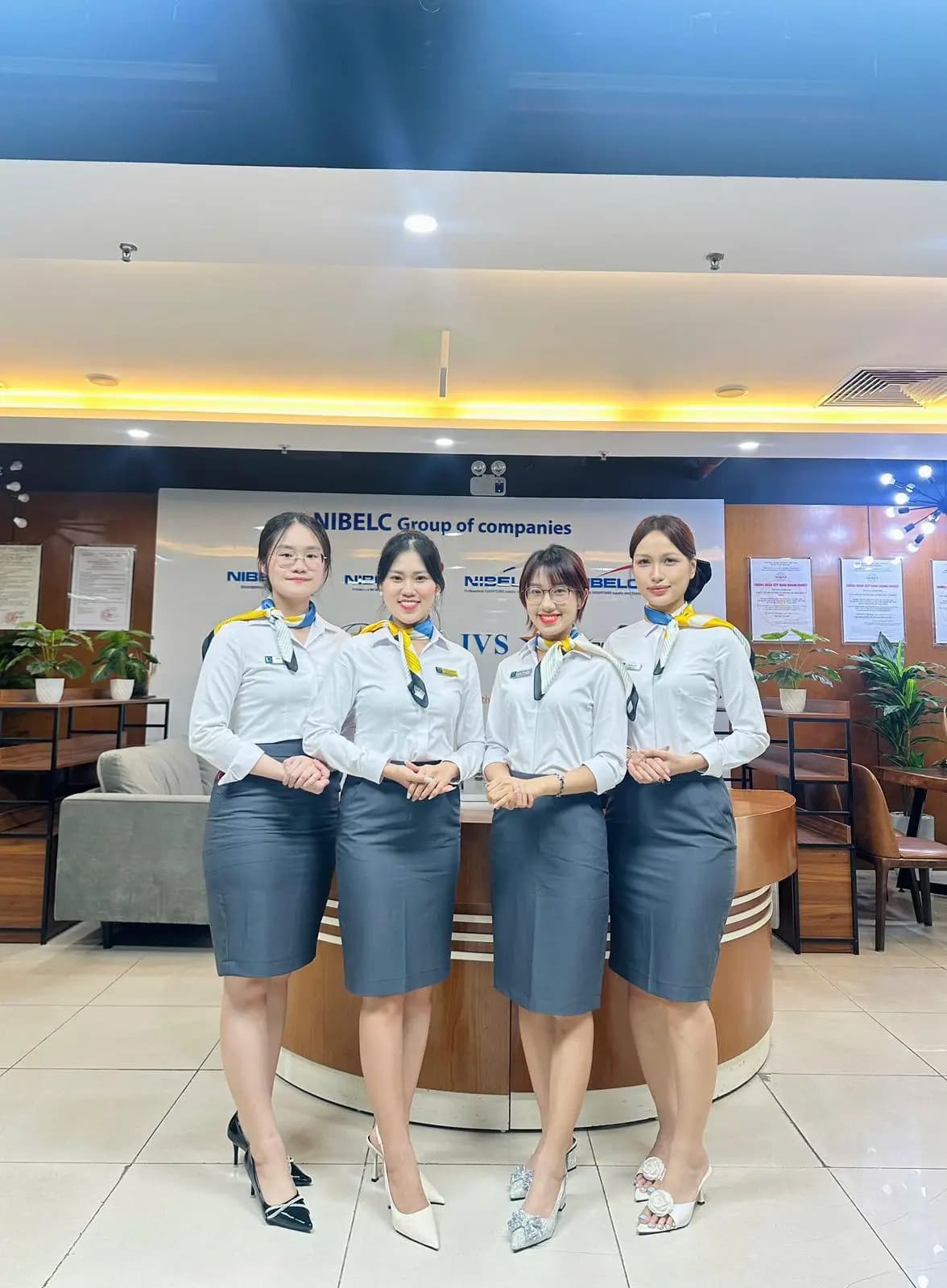Văn phòng và đội ngũ trong nước